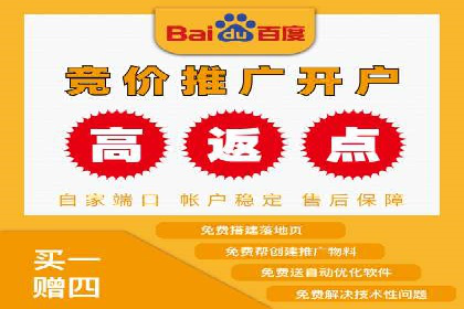 百度竞价广告在电商行业的实战应用案例